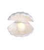 Clam Shell Lamp - ONE SIZE ONLY / White - Gifts