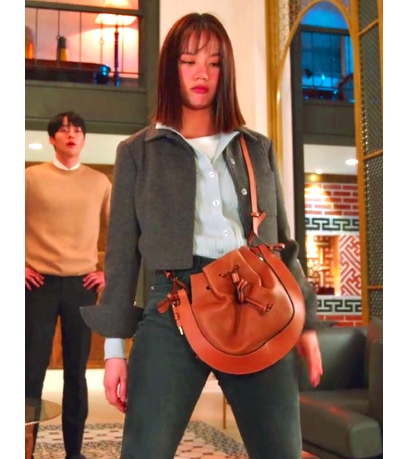My Roommate Is A Gumiho Lee Dam (Lee Hye-ri) Inspired Bag 002 - Bags