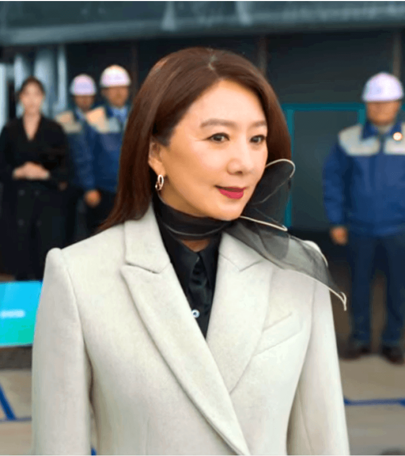 Queenmaker Hwang Do-Hee (Kim Hee-Ae) Inspired Earrings 002 - Earrings