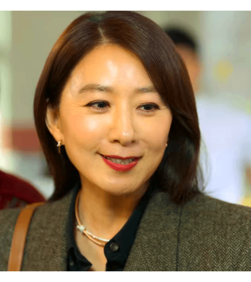 Queenmaker Hwang Do-Hee (Kim Hee-Ae) Inspired Earrings 007 - Earrings