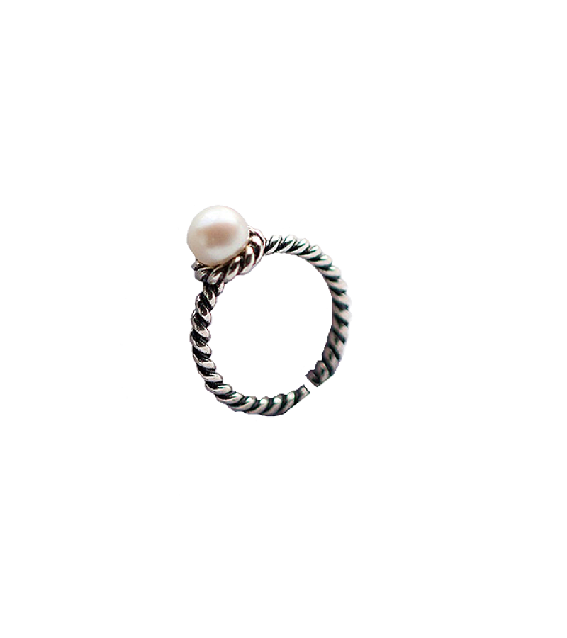 When The Camellia Blooms Gong Hyo Jin Inspired Ring 001 - ONE SIZE ONLY / Silver - Rings